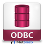 Devart ODBC Driver for InterBase Desktop for Windows License Арт.