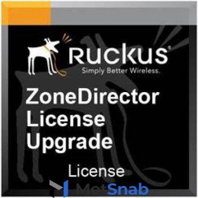 Программное обеспечение, лицензии, сервисные контракты Ruckus 909-0250-ZD00